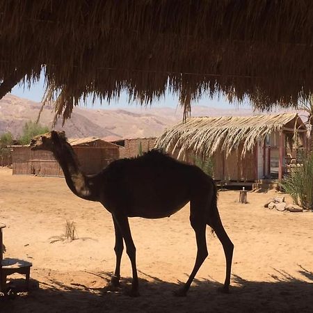 Diana Beach Camp Nuweiba Exterior photo