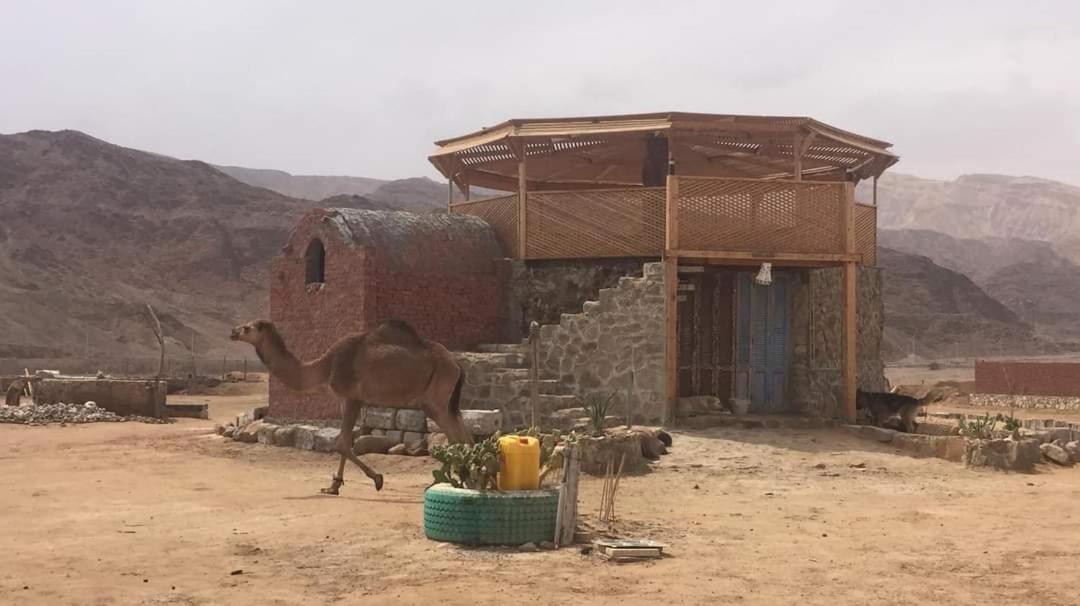 Diana Beach Camp Nuweiba Exterior photo